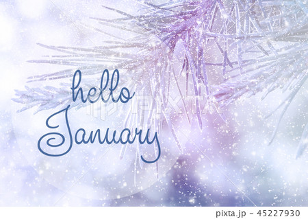HELLO JANUARY greeting card. Winter  concept. 45227930