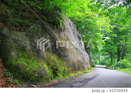 夏のマチガ沢から国道291号(一ノ倉沢)方面を見る 夏のマチガ沢から国道291号(一ノ倉沢)方面を見る 45230930