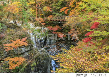 みたらい渓谷　紅葉 45231403