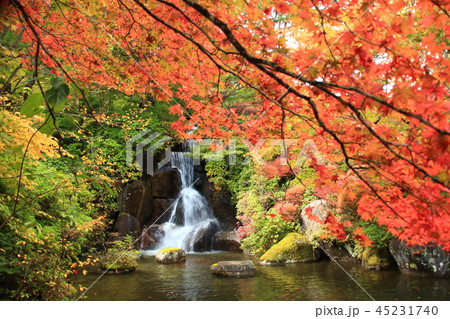 古峯園の紅葉 古峯園の紅葉 45231740