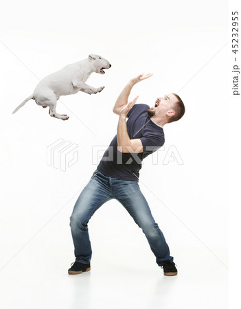 Emotional Portrait of a man and his Bull Terrier dog, concept of friendship and care of man and 45232955