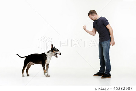 Emotional Portrait of a man and his Bull Terrier dog, concept of friendship and care of man and Emotional Portrait of a man and his Bull Terrier dog, concept of friendship and care of man and 45232987