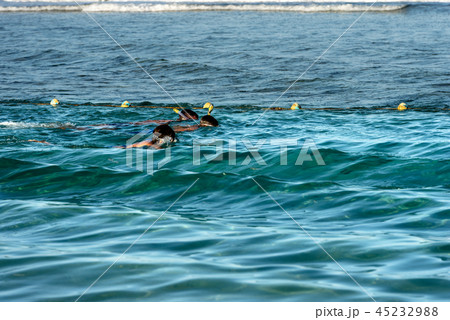 Snorkeling over the Coral Reef - Red Sea Egypt 45232988