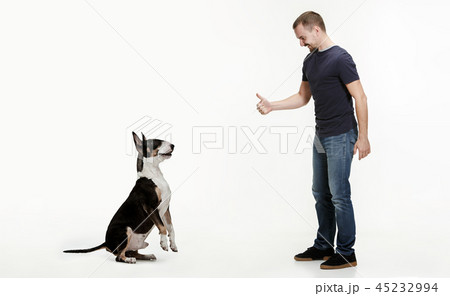 Emotional Portrait of a man and his Bull Terrier dog, concept of friendship and care of man and Emotional Portrait of a man and his Bull Terrier dog, concept of friendship and care of man and 45232994