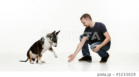 Emotional Portrait of a man and his shepherd dog, concept of friendship and care of man and animal 45233029