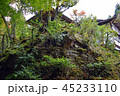 秋の京都　高雄 45233110