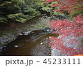 秋の京都　高雄 45233111
