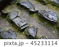 秋の京都　高雄 45233114