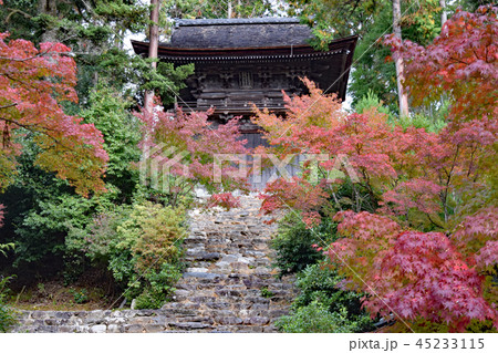 秋の京都　高雄 45233115