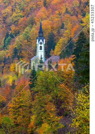 Church in Slovenia countryside, autumn trees 45233307