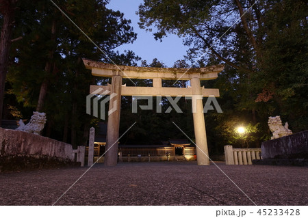 滋賀県の多賀大社の摂社、ライトアップされた日向神社の鳥居と狛犬です 滋賀県の多賀大社の摂社、ライトアップされた日向神社の鳥居と狛犬です 45233428