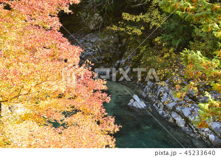 【長野県 大桑村】阿寺渓谷の紅葉(亀石) 【長野県 大桑村】阿寺渓谷の紅葉(亀石) 45233640