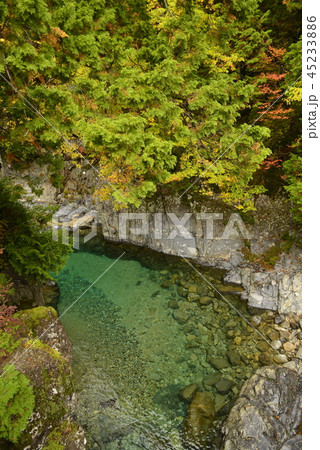 【長野県 大桑村】阿寺渓谷の紅葉(犬帰りの淵) 【長野県 大桑村】阿寺渓谷の紅葉(犬帰りの淵) 45233886
