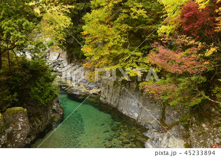 【長野県　大桑村】阿寺渓谷の紅葉（犬帰りの淵） 45233894