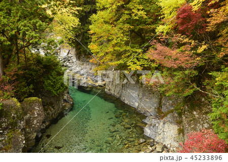 【長野県 大桑村】阿寺渓谷の紅葉(犬帰りの淵) 【長野県 大桑村】阿寺渓谷の紅葉(犬帰りの淵) 45233896