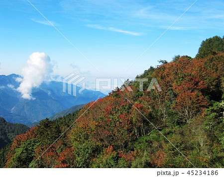 南投 阿里山 玉山 45234186