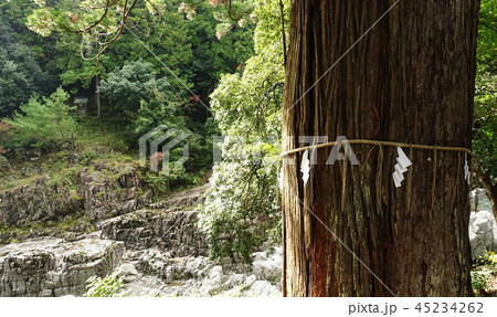 滋賀県犬上郡多賀町の大瀧神社の御神木と大蛇ヶ淵の奇石と向こう岸の「小石丸の首塚」の祠です 45234262