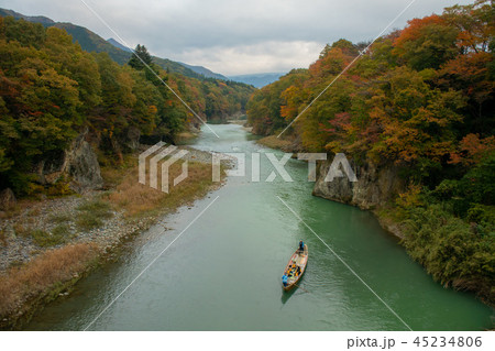 鬼怒川温泉の紅葉　鬼怒川ライン下り 45234806