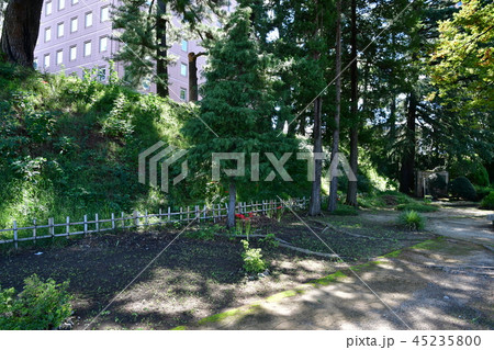 前橋城08 前橋城08 45235800
