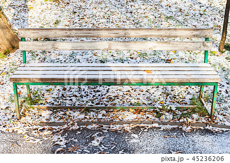 wooden bench covered with snow in urban garden 45236206