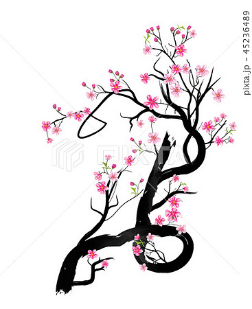 Watercolor sakura frame. Background with blossom c 45236489