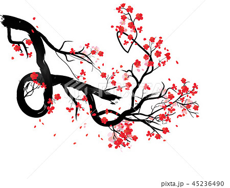 Watercolor sakura frame. Background with blossom c 45236490