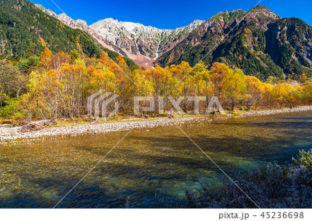《長野県》秋の上高地・北アルプスと紅葉 45236698