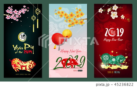 Happy New Year 2019. Chienese New Year, Year of th Happy New Year 2019. Chienese New Year, Year of th 45236822