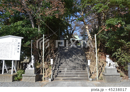 藤沢市 白旗神社 藤沢市 白旗神社 45238017