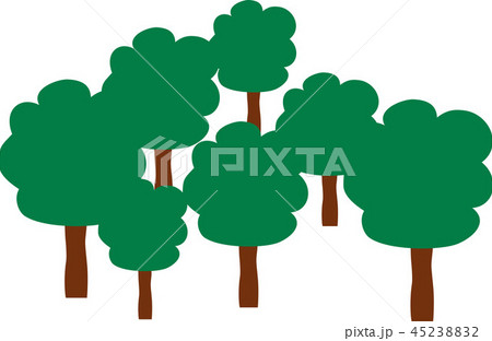 Forest with trees Forest with trees 45238832