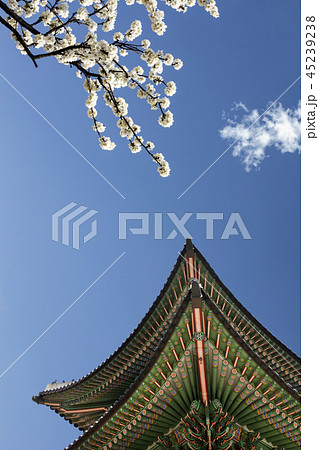 故宮 風景 観光地 45239238