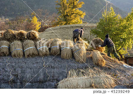 田舎 朝鮮時代 丸屋 45239249