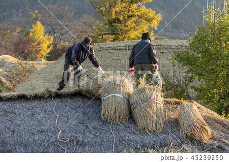 田舎 朝鮮時代 丸屋 45239250