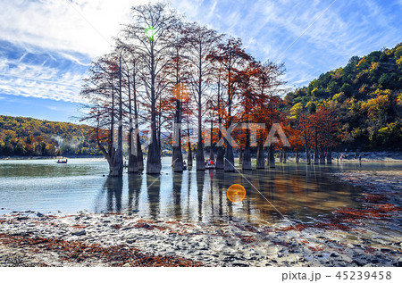 Cypress trees dot a pond in Sukko. 45239458