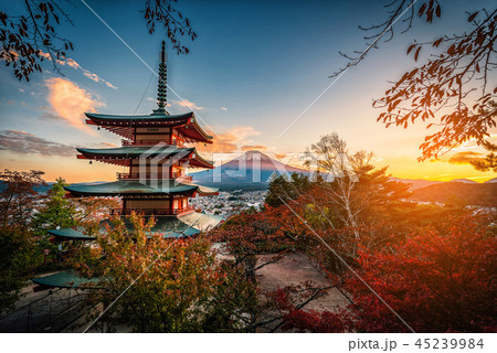 Mt. Fuji with Chureito Pagoda and red leaf  45239984