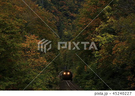 紅葉の只見線 45240227
