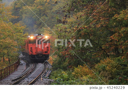 紅葉の只見線 45240229