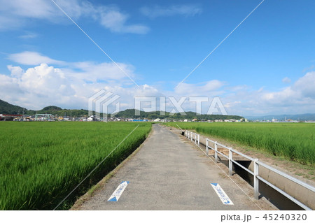 田園風景の続く道 田園風景の続く道 45240320