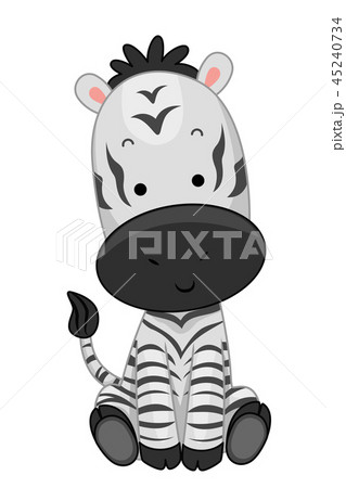 Zebra Sit Illustrationのイラスト素材