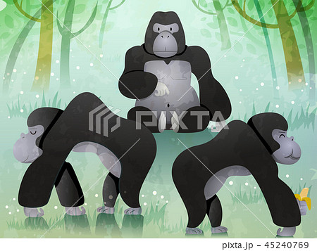 Troop Of Gorillas Illustrationのイラスト素材 [45240769] - PIXTA