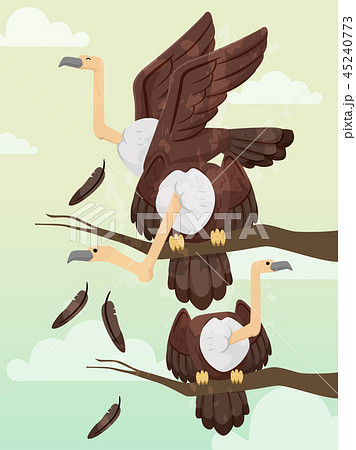 Group Vulture Committee Illustration 45240773