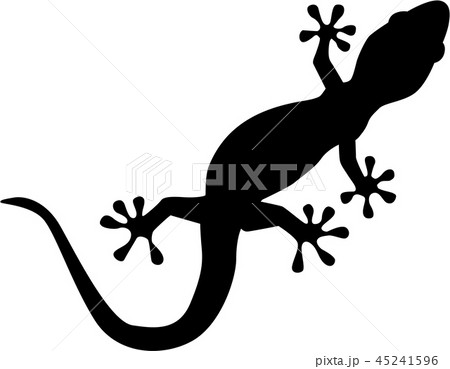 Gecko Silhouetteのイラスト素材