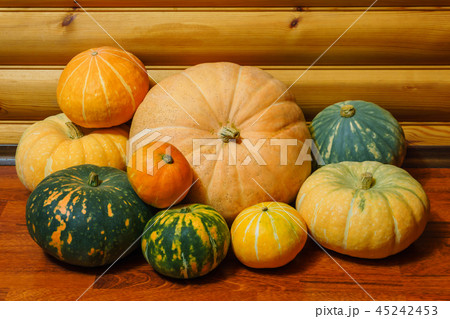 fresh harvest of pumpkins 45242453
