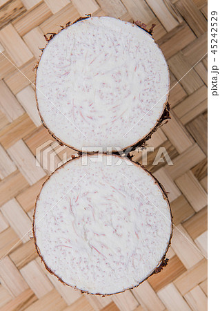 根 根っこ 根元 45242529