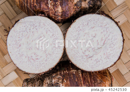 根 根っこ 根元 45242530