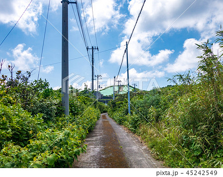 向沢取水場へ向かう道 向沢取水場へ向かう道 45242549