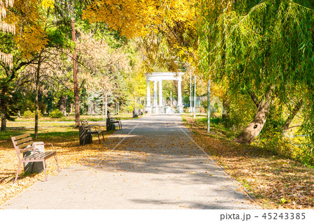 Autumn park and the sun's rays make their way thro 45243385