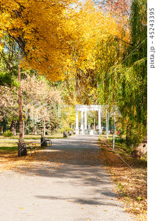 Autumn park and the sun's rays make their way thro 45243395