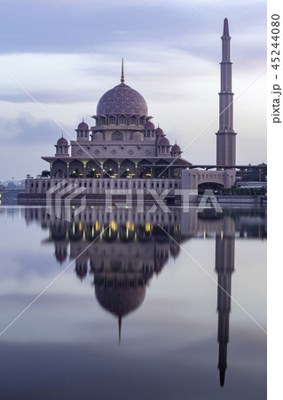 ピンク・モスク 45244080