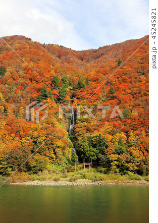 紅葉最上川舟下り　白糸の滝 45245821